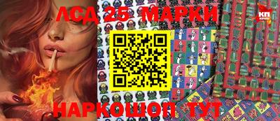 индика Бердск