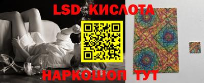 индика Бердск