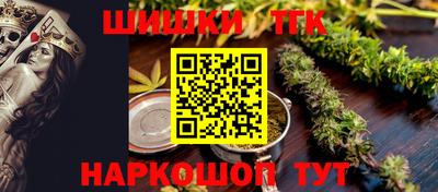 индика Бердск