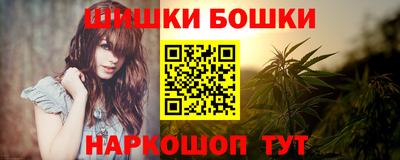индика Бердск