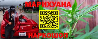 индика Бердск