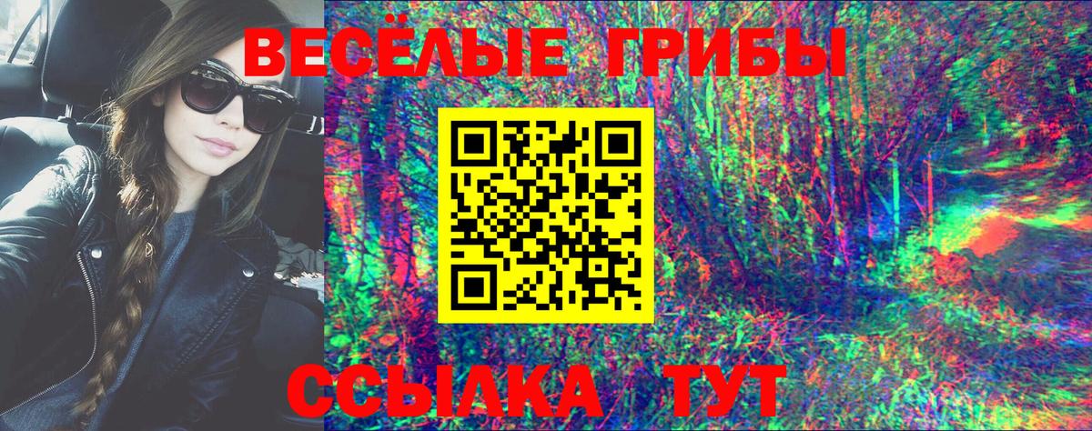 Псилоцибиновые грибы ЛСД  Псилоцибиновые грибы GOLDEN TEACHER  Владимир  Вход с VPN 