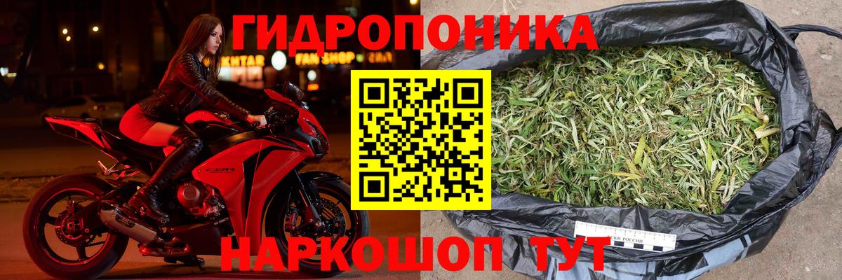 Бошки Шишки марихуана Владимир